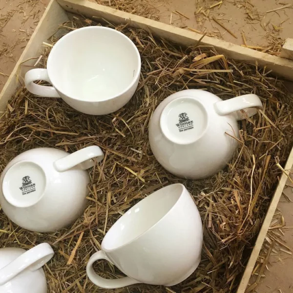 Elegant White 7 Oz | 220 Ml Tea Cup & Saucer Set | Fine Porcelain | Microwave & Dishwasher Safe - Image 4